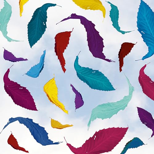 New Order - True Faith Remix (2023 Remaster) | Mint (M) Mint (M)