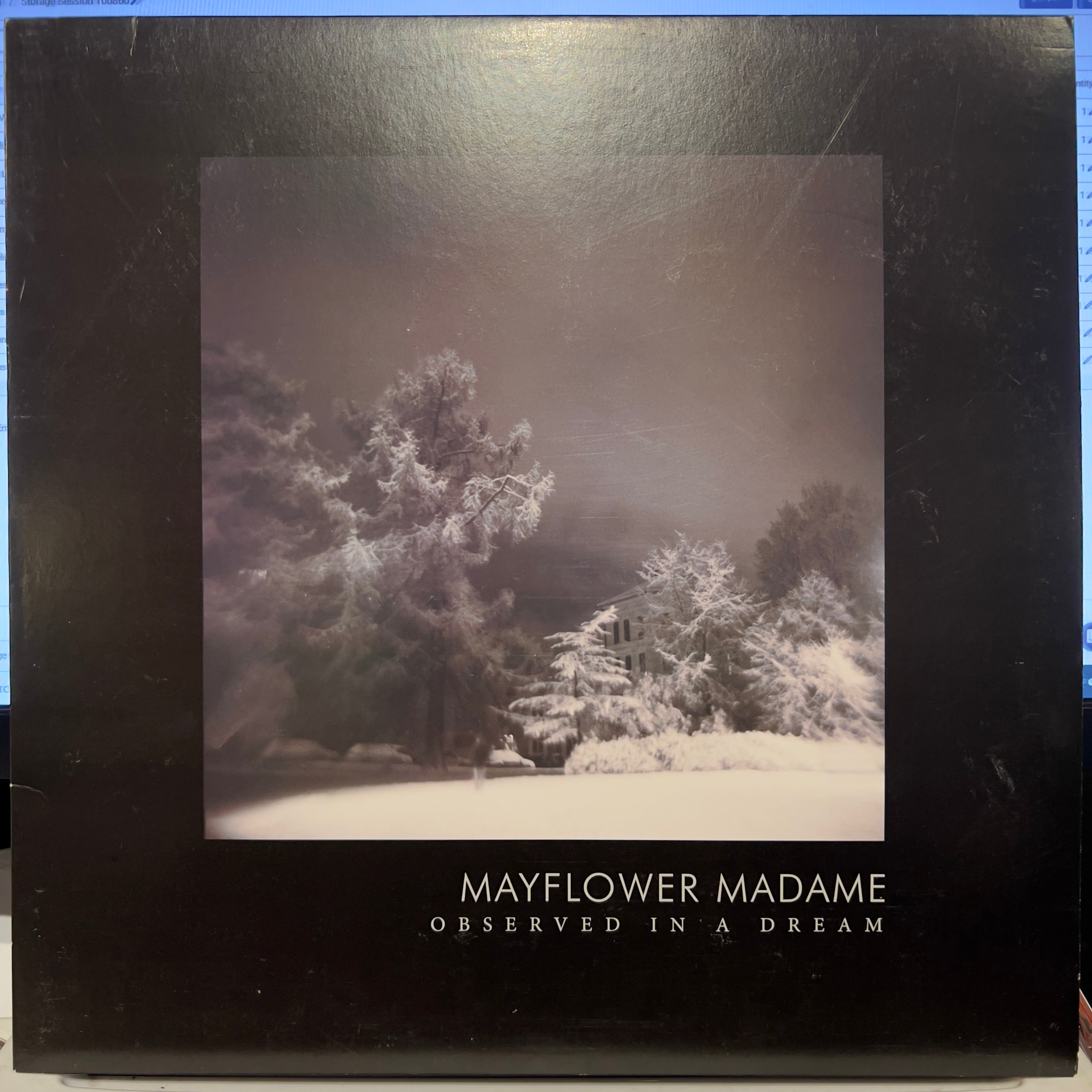 Mayflower Madame - Observed In A Dream | Near Mint (NM) Near Mint (NM)