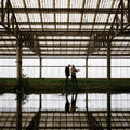 Radicans - Live At Driftwork Sound |