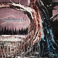 The Closing Chronicles (Re-Issue) (VINYL) | Mint (M) Mint (M)
