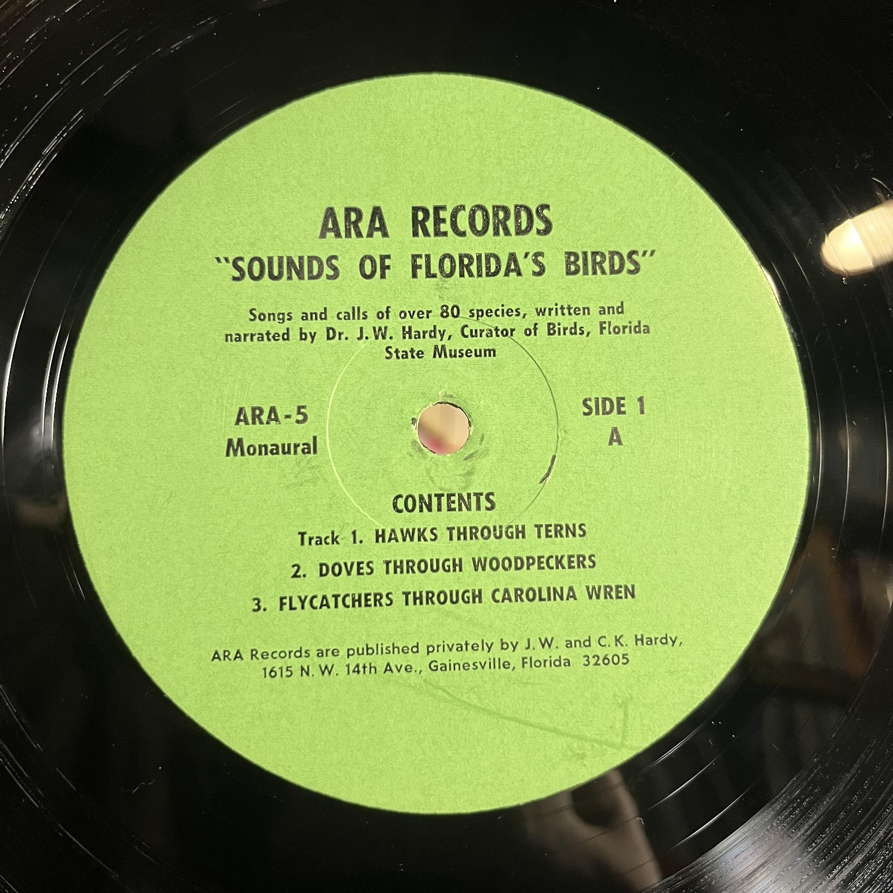 John William Hardy - Sounds Of Florida's Birds | Very Good Plus (VG+) Excellent (EX)