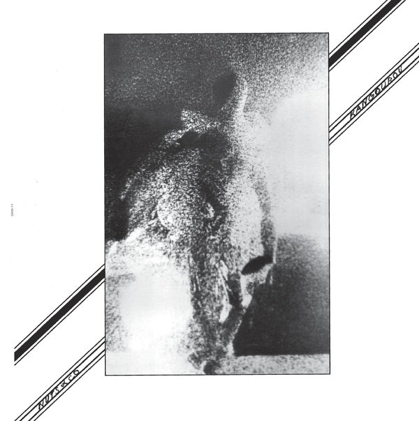 Kangourou |