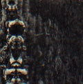 The Forest, The People And The Spirits |