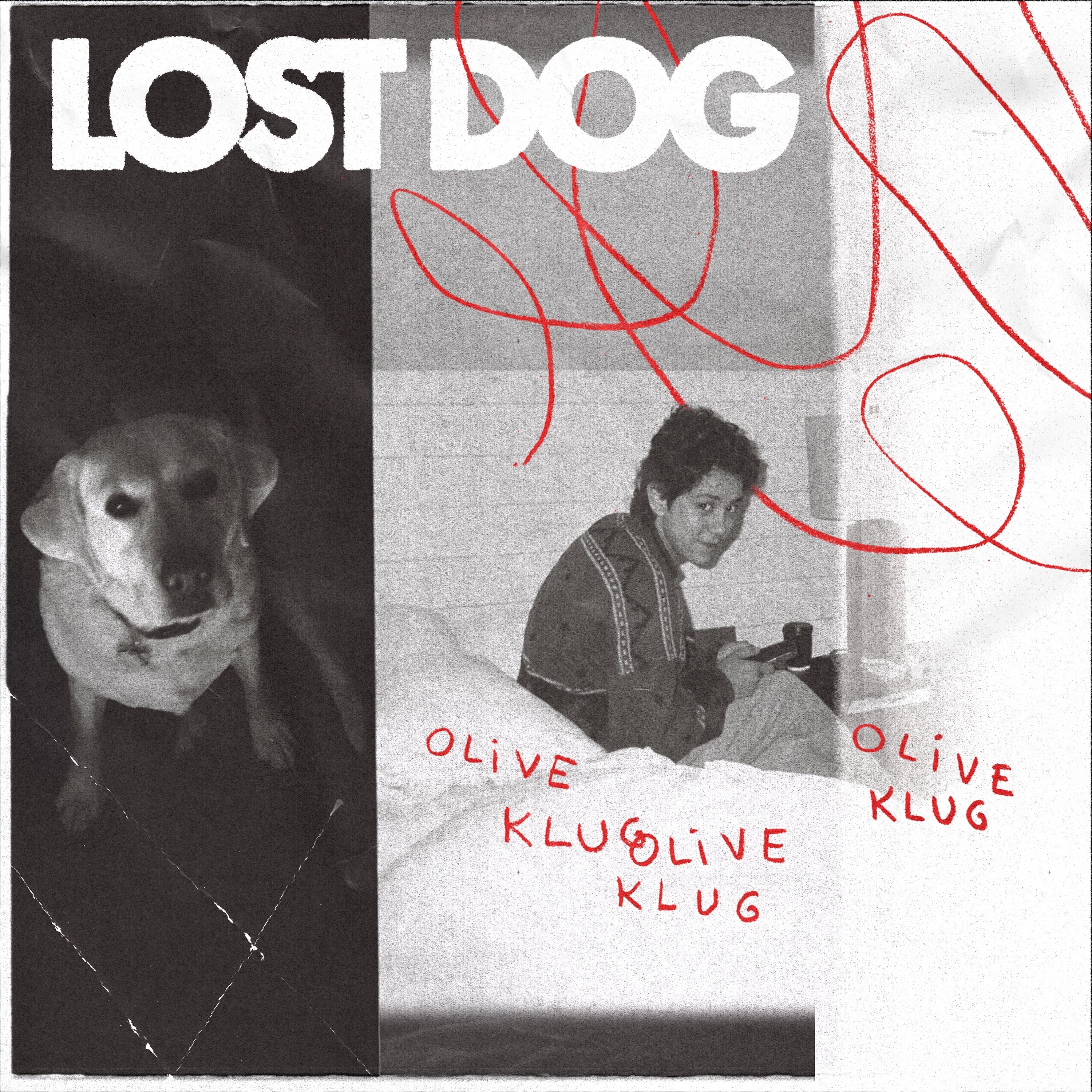 Lost Dog (VINYL) | Mint (M) Mint (M)