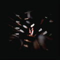 Shadowland |