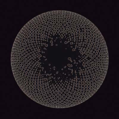 Organ Eye |