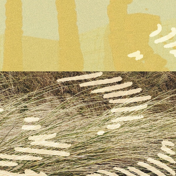Terrapin EP |