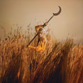 Patrick Wolf - Crying The Neck [180G Harvest Ochre/Umber Soil 2 Lp] |