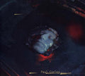 Disquiet |