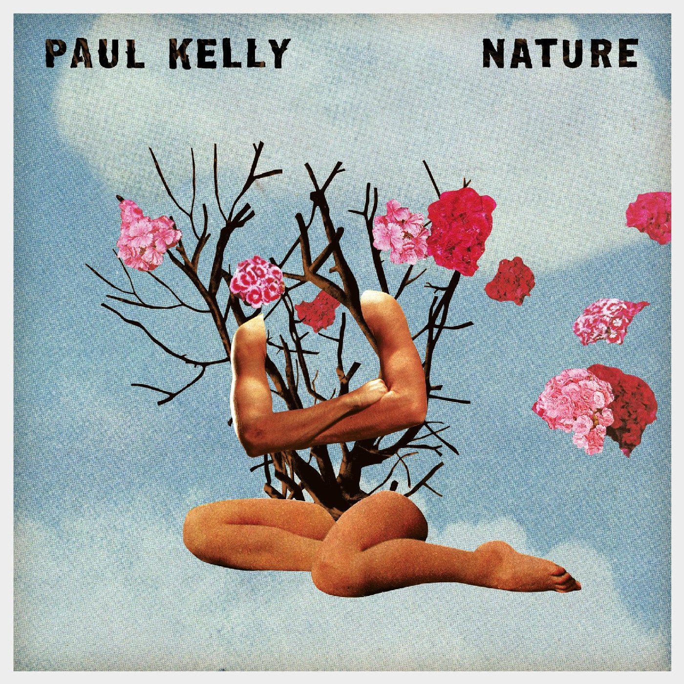 Nature (CD) | Mint (M) Mint (M)