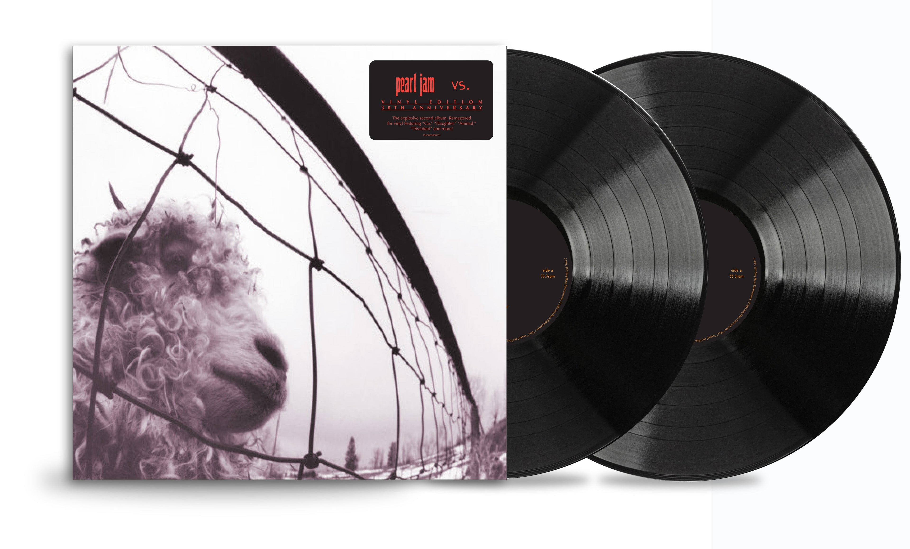 Pearl Jam - Vs.: 30th Anniversary (180 GRAM VINYL) | Mint (M) Mint (M)