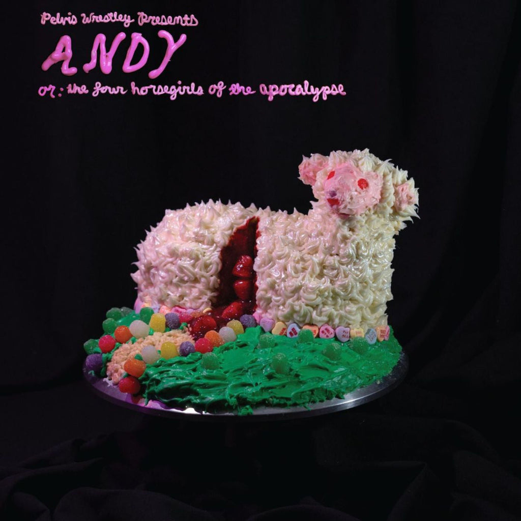 Andy, Or: The Four Horsegirls Of The Apocalypse (Pink Frosting VINYL) | Mint (M) Mint (M)