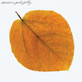 Seasons |
