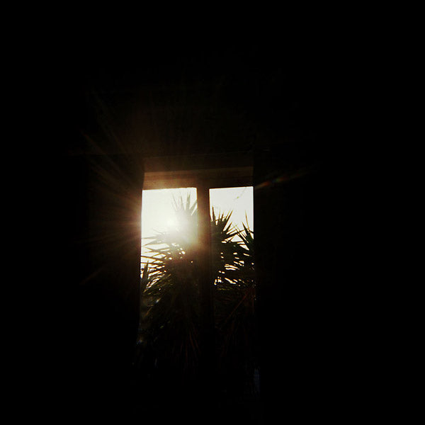 Black Colors |