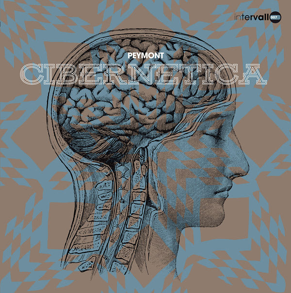Cibernetica |