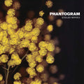 Phantogram - Eyelid Movies (Clear /Yellow Swirl VINYL) | Mint (M) Mint (M)