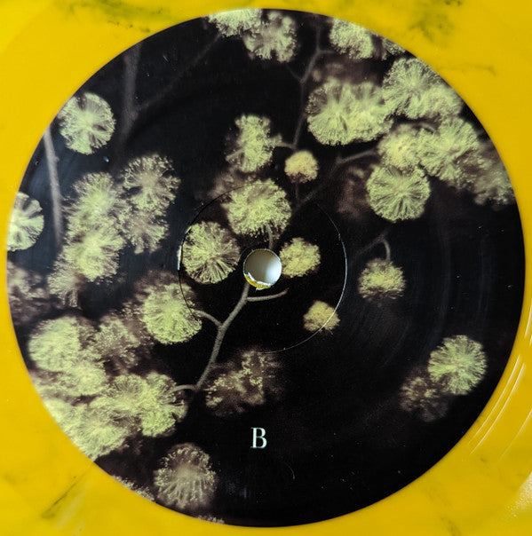 Eyelid Movies (VINYL) | Mint (M) Mint (M)