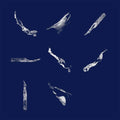 Memory Fragments |