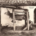 Musique Grecque |