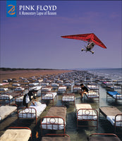 Pink Floyd - A Momentary Lapse Of Reason (180 Gram Vinyl, With Booklet, Gatefold LP Jacket) (2 Lp's) | Mint (M) Mint (M)