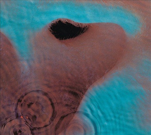 Pink Floyd - Meddle (Remastered CD) | Mint (M) Mint (M)