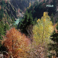 Wald |