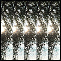 Dialectic Of Ignorance | Mint (M) Mint (M)