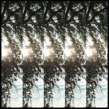 Dialectic Of Ignorance | Mint (M) Mint (M)