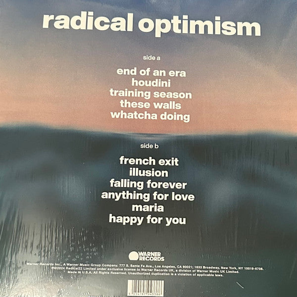 Radical Optimism (CLEAR VINYL) | Mint (M) Mint (M)