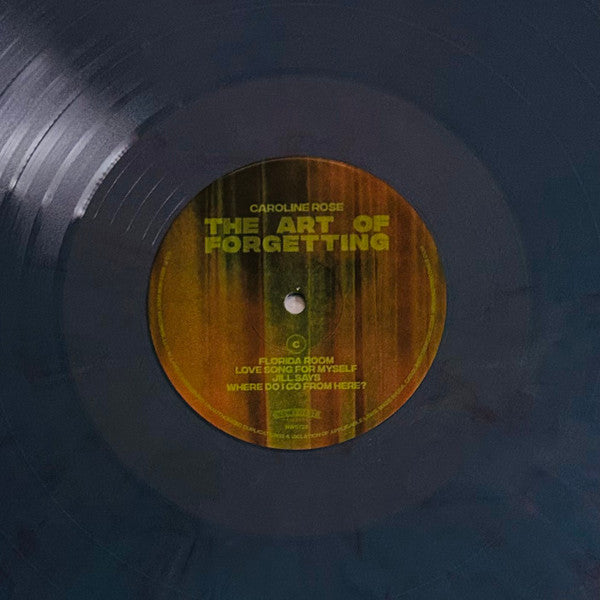 The Art of Forgetting (2xVINYL VMP) | Mint (M) Mint (M)