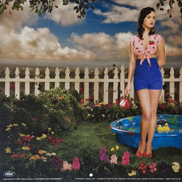 One Of The Boys (BLUE/WHITE SWIRL VINYL) | Mint (M) Mint (M)