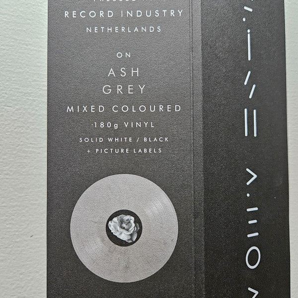 Kate Bush - The Sensual World: 2018 Remaster (IEX: ASH GREY VINYL) | Mint (M) Mint (M)