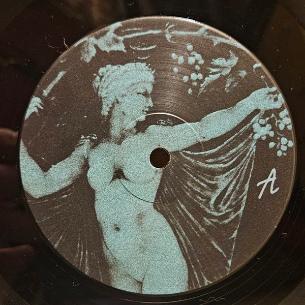 TV Girl - Grapes Upon The Vine (VINYL) | Mint (M) Mint (M)