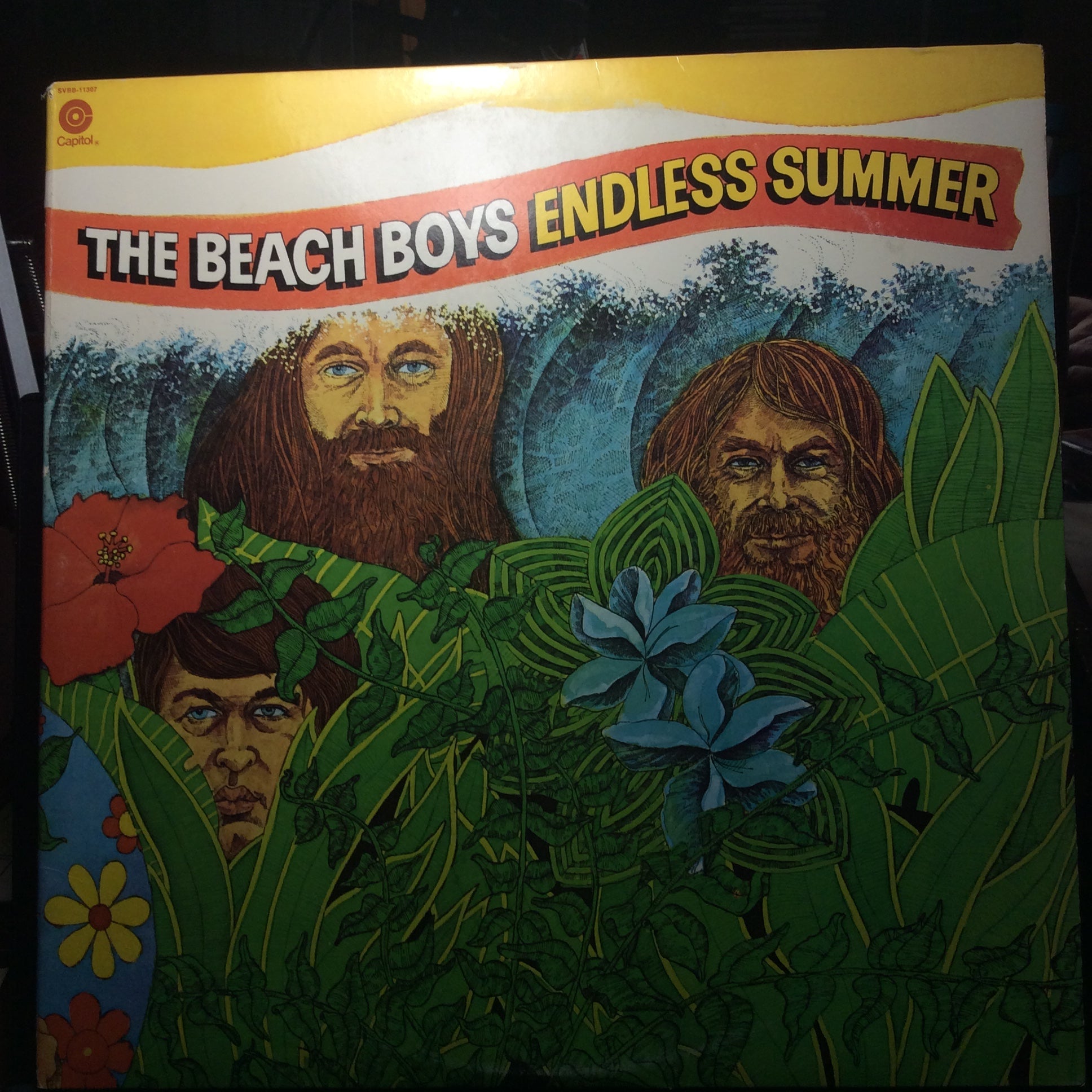 The Beach Boys - Endless Summer (2xVINYL) *w/POSTER* | Excellent+ (EX+) Near Mint (NM)