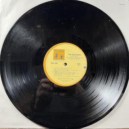 The Beach Boys - Love You (VINYL) | Near Mint- (NM-) Excellent (EX)