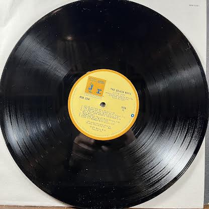 The Beach Boys - Love You (VINYL) | Near Mint- (NM-) Excellent (EX)