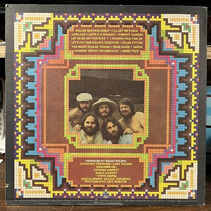 The Beach Boys - Love You (VINYL) | Near Mint- (NM-) Excellent (EX)