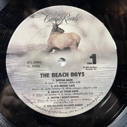 The Beach Boys - The Beach Boys (VINYL) | Near Mint (NM or M-)