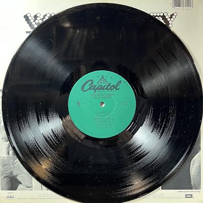 The Beach Boys - Wild Honey (VINYL) | Near Mint (NM or M-) Near Mint- (NM-)