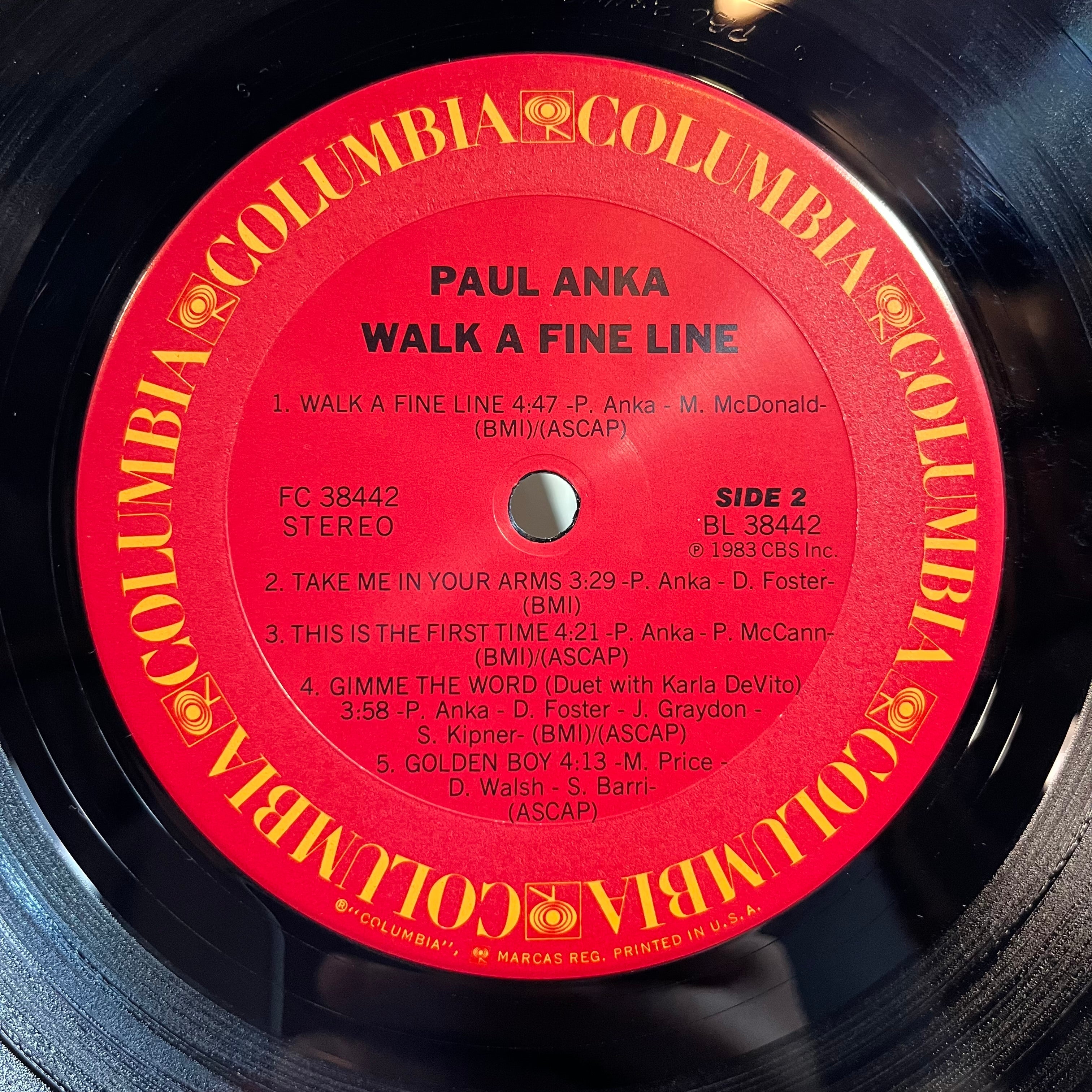 Walk A Fine Line (LP) | Near Mint (NM) Near Mint (NM)