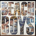 The Beach Boys - The Beach Boys (VINYL) | Near Mint (NM or M-)