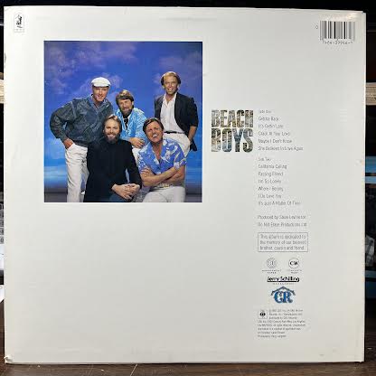 The Beach Boys - The Beach Boys (VINYL) | Near Mint (NM or M-)