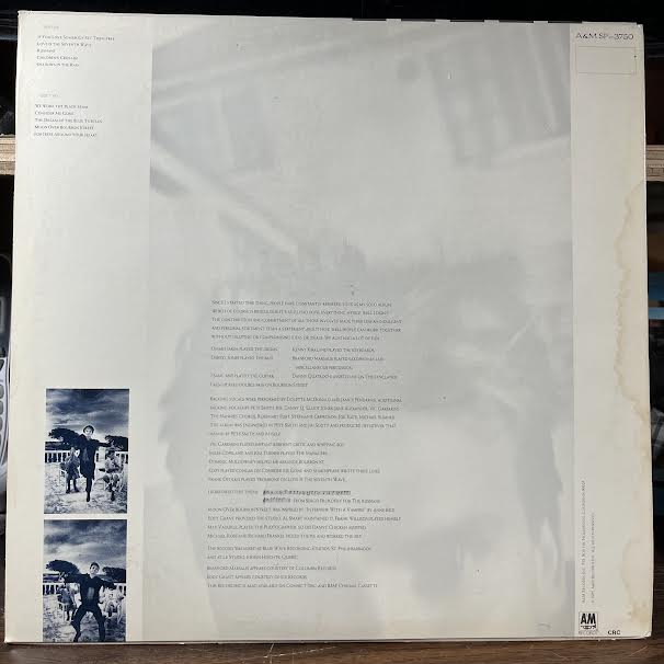 Sting - The Dream Of The Blue Turtles (VINYL) | Near Mint (NM or M-) Excellent (EX)