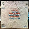 The Beach Boys - American Summer (VINYL) | Near Mint (NM or M-)