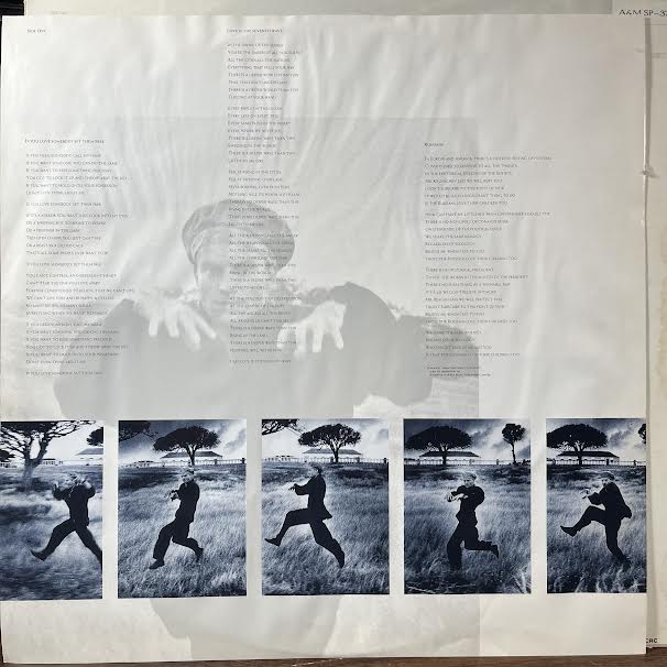 Sting - The Dream Of The Blue Turtles (VINYL) | Near Mint (NM or M-) Excellent (EX)