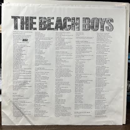 The Beach Boys - The Beach Boys (VINYL) | Near Mint (NM or M-)