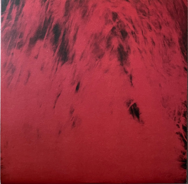 Dead Can Dance - Spiritchaser (VINYL) | Mint (M) Mint (M)
