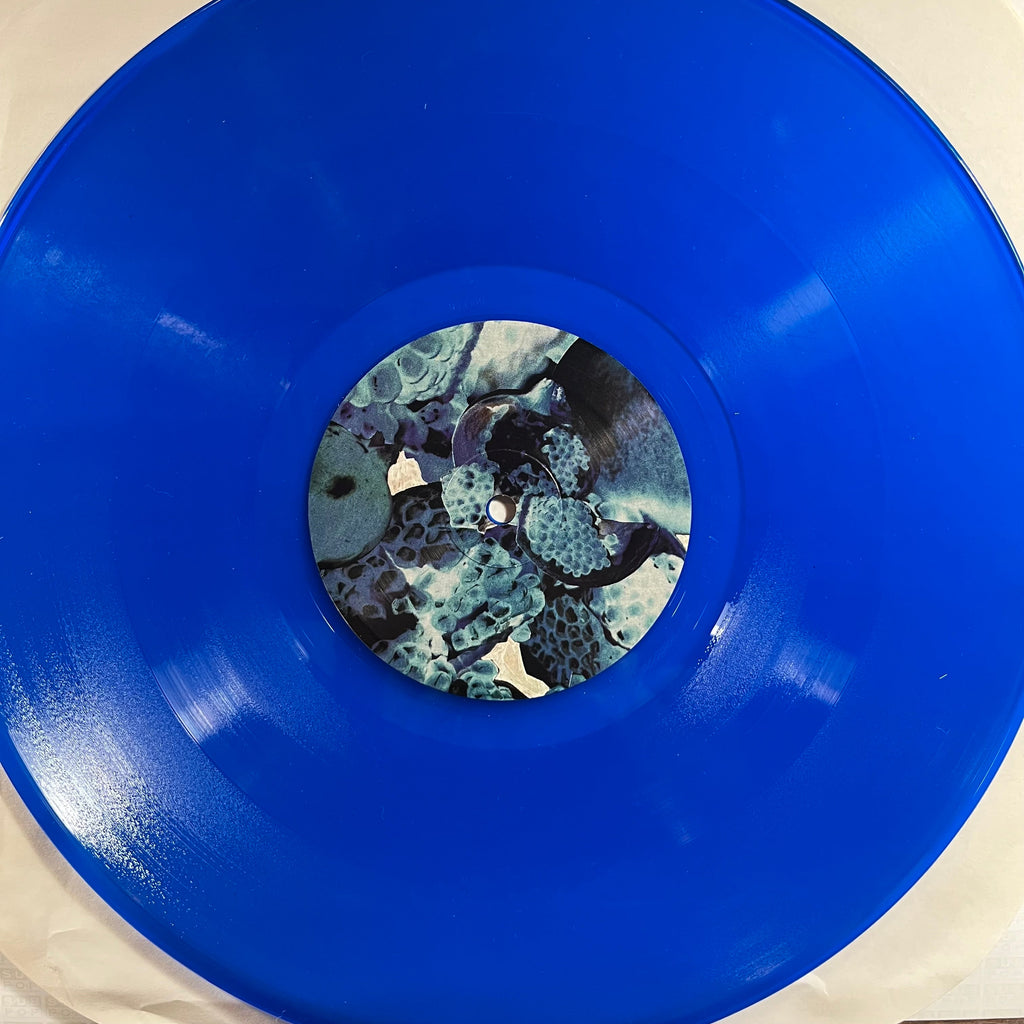 Foals - Total Life Forever (2xVINYL) | Near Mint (NM) Near Mint- (NM-)