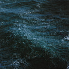 Homebase Ep (VINYL) | Mint (M) Mint (M)