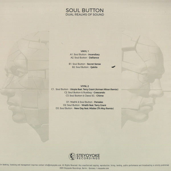 Dual Realms Of Sound 2x12" | Mint (M) Mint (M)